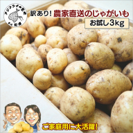 訳あり！農家直送のじゃがいも お試し3kg ( 訳あり じゃがいも いも 肉じゃが サラダ フライドポテト カレー シチュー 煮物 )【A6-042】
