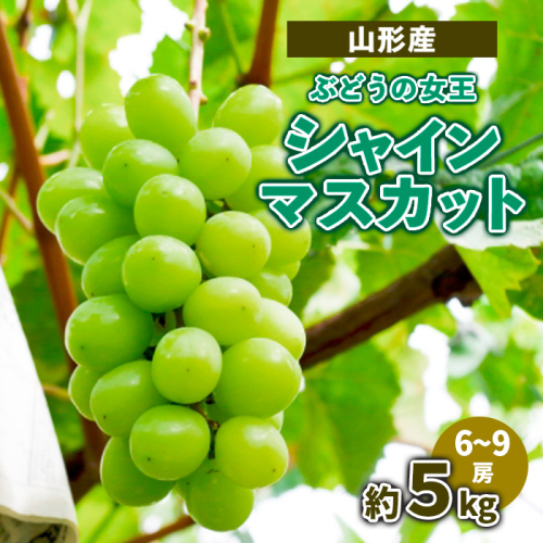 山形産ぶどうの女王 シャインマスカット　約5kg　（6～9房） 【令和7年産先行予約】FS23-716 1140173 - 山形県山形市