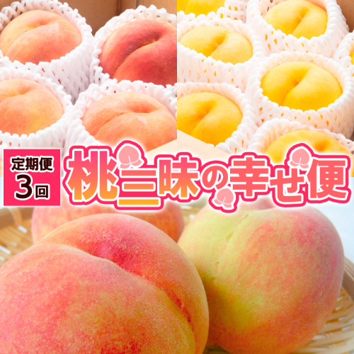 【定期便3回】桃三昧の幸せ便 【令和8年産先行予約】FS25-612 1140216 - 山形県山形市