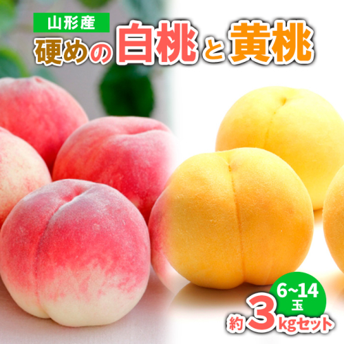 山形産 硬めの白桃と黄桃　約３kgセット（6～14玉)　秀品  【令和8年産先行予約】FS23-779 1140220 - 山形県山形市