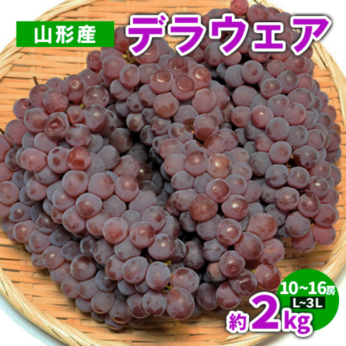 山形産 デラウェア 約2kg(10～16房) L～3L【令和8年産先行予約】FS23-782 1140223 - 山形県山形市