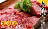 【定期便12回】奈良県産黒毛和牛 大和牛バラ・赤身盛り合わせ 焼肉 500g