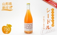 【2022年産】リンゴリらっぱ シードル ワイン お酒 りんご 山形県 新庄市 F3S-1867