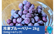 くろかわ農園 冷凍ブルーベリー 2kg（500g×4パック）