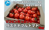 【2024年】北海道上ノ国町産 寅福菜園の高リコピントマト「サステナブルトマト」 4㎏