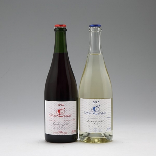 月山ワイン　ソレイユ・ルバン微発泡（２本セット） 114106 - 山形県庄内町