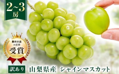 ＜先行受付 2026年発送＞＜訳あり＞シャインマスカット 2～3房 1kg以上【1456435】