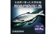 道東産新巻鮭オス(約2.9kg)1尾【1035027】