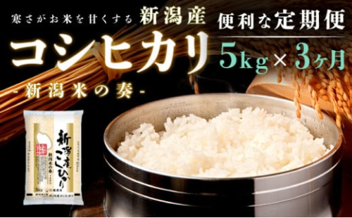 【定期便】新潟産コシヒカリ5kg×3回 3ヶ月