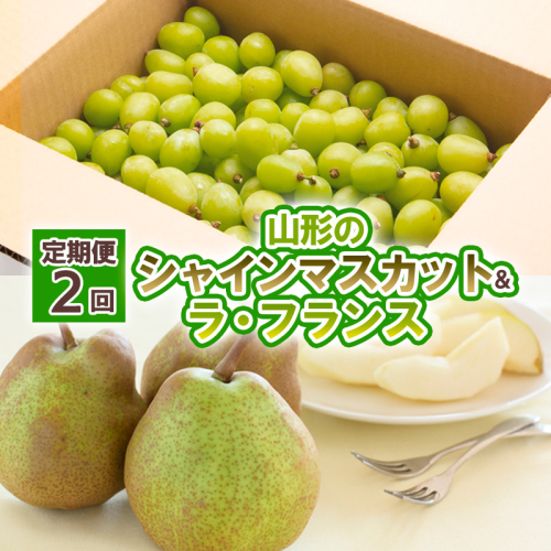 【定期便2回】山形の　シャインマスカット＆ラ・フランス【令和8年産先行予約】FU23-798 1141816 - 山形県山形市