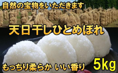 天日干しひとめぼれ 令和7年産 白米 5kg 岩手県奥州市産 人気沸騰の米 【7日以内発送】 【発送日当日精米】 おこめ ごはん ブランド米 [AC046] 1141942 - 岩手県奥州市