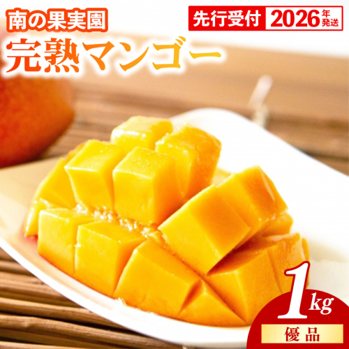 【化粧箱入】【先行受付・2026年発送】南の果実園 完熟マンゴー 優品 1kg（2～3玉）- 先行予約 沖縄県産 産地直送 アップルマンゴー 旬の味覚 季節の果物 贈り物 ギフト 沖縄県 八重瀬町 1142201 - 沖縄県八重瀬町
