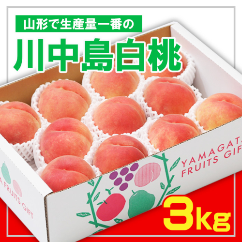 ☆フルーツ王国山形☆ 白桃 秀品3kg [山形で生産量1番の 川中島白桃 ]【令和8年産先行予約】FS23-825 1142203 - 山形県山形市