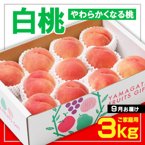 ☆フルーツ王国山形☆[ご家庭用] 白桃 〇秀品 3kg [やわらかくなる桃] 9月お届け【令和8年産先行予約】FS23-827 1142215 - 山形県山形市