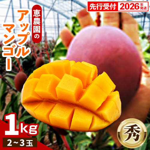【先行受付】【2026年発送】恵農園のアップルマンゴー『秀』約1kg（2～3玉）- 先行予約 沖縄県産 産地直送 南国フルーツ 旬の味覚 季節の果物 贈り物 ギフト 沖縄県 八重瀬町 1142217 - 沖縄県八重瀬町