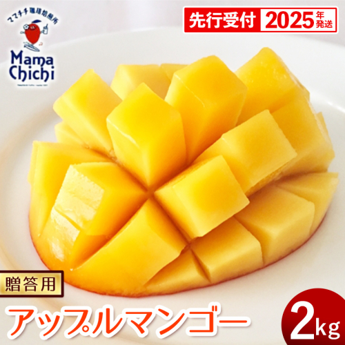 【贈答用】【先行受付・2025発送】ママチチマンゴーファームの贈答用アップルマンゴー約2kg 1142361 - 沖縄県八重瀬町