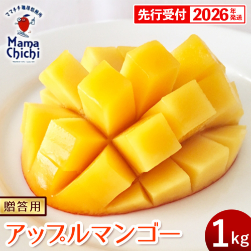 【贈答用】【先行受付・2026発送】ママチチマンゴーファームの贈答用アップルマンゴー約1kg - 先行予約 沖縄県産 産地直送 南国フルーツ 旬の味覚 旬のフルーツ 贈り物 ギフト 沖縄県 八重瀬町 1142430 - 沖縄県八重瀬町
