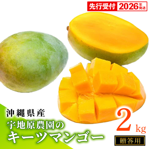 【贈答用】【先行受付・2026年発送】宇地原農園の沖縄県産キーツマンゴー約2kg - 先行予約 沖縄県産 産地直送 南国フルーツ 旬の味覚 季節の果物 希少種 化粧箱 ギフト 贈り物 沖縄県 八重瀬町 1142439 - 沖縄県八重瀬町