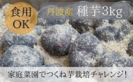 【芋家なか吉】丹波山の芋 種芋 大玉 3kg  食用でもＯＫ