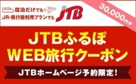 【立科町】JTBふるぽWEB旅行クーポン（30,000円分）
