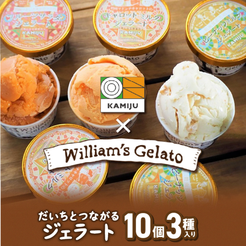 【3種のフレーバーを食べ比べ!!】だいちとつながるジェラート10個セット 映えるデザインが可愛いと話題に!! マドンナキャロット 地元野菜 甘い アイス スイーツ デザート 洋菓子 可愛い 詰め合わせ キャロットミルク フルーツサラダ ピーナッツミルク 自慢 冷たい にんじん 人参 落花生 ピーナッツ 農家 神重農産 H105-171 1142540 - 愛知県碧南市