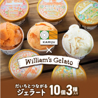 【3種のフレーバーを食べ比べ!!】だいちとつながるジェラート10個セット 映えるデザインが可愛いと話題に!! マドンナキャロット 地元野菜 甘い アイス スイーツ デザート 洋菓子 可愛い 詰め合わせ キャロットミルク フルーツサラダ ピーナッツミルク 自慢 冷たい にんじん 人参 落花生 ピーナッツ 農家 神重農産 H105-171
