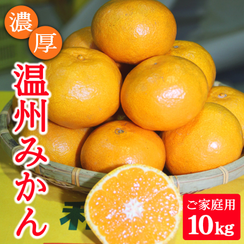 濃厚温州みかんご家庭用10kg（和歌山天田みかん）◆ みかんの産地和歌山　北村農園直送 ※2025年12月上旬頃より順次発送予定 1142805 - 和歌山県美浜町