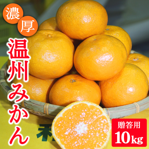 濃厚温州みかん贈答用10kg（和歌山天田みかん）◆ みかんの産地和歌山　北村農園直送 ※2025年12月上旬頃より順次発送予定 1142807 - 和歌山県美浜町