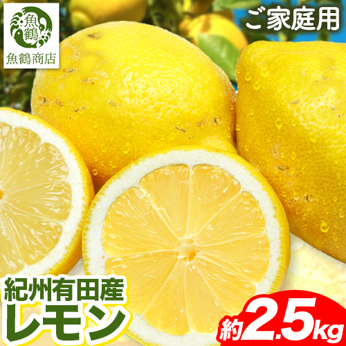 【先行予約】【ご家庭用 訳あり】紀州 有田産 レモン 約2.5kg 魚鶴商店《3月上旬-3月中旬頃出荷》和歌山県 日高町 柑橘 れもん 檸檬 わけあり 家庭用 レモン 1143029 - 和歌山県日高町