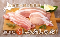 [№5749-0804]北海道十勝の放牧豚”遊ぶた”プチしゃぶしゃぶセット