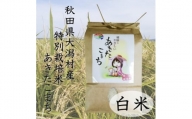 令和5年度産米　特別栽培米あきたこまち　白米2kg【1283155】