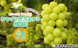 ●先行予約●2025年の収穫時期に順次出荷します！ 【配達不可：北海道・沖縄・離島】 シャインマスカット各2房を2025年7月〜10月に4回定期便でお届け！ 各生産者の丹精込めて作ったシャインマスカッ