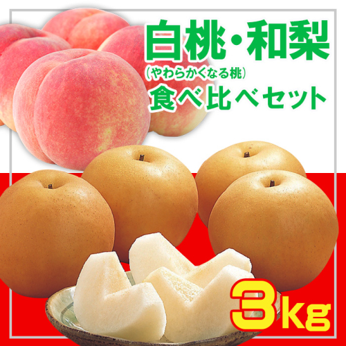 ☆フルーツ王国山形☆白桃 (やわらかくなる桃)・和梨食べ比べセット秀品 3kg【令和8年産先行予約】FS23-852 1144228 - 山形県山形市