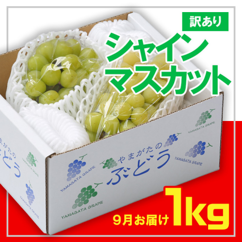 ☆フルーツ王国山形☆[訳あり] シャインマスカット1kg (1～3房)[9月お届け]  【令和7年産先行予約】FS23-853 1144232 - 山形県山形市