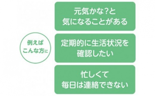 No 072 郵便局のみまもりサービス みまもりでんわサービス 固定電話12か月 見守り お年寄り 田舎 故郷 群馬県 Au Pay ふるさと納税