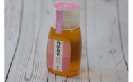 丹波の蜂蜜　300g×1個（ボトル）：配送情報備考　桜蜜
