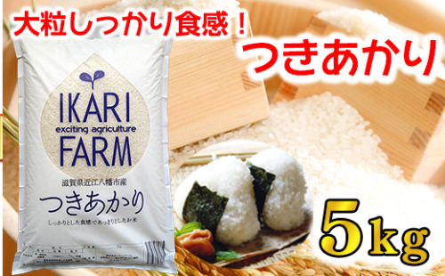 【6年産】つきあかり白米5ｋｇ　「大粒でしっかりした食感」【C056U】 1144518 - 滋賀県近江八幡市