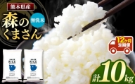 【定期12回】森のくまさん 無洗米 10kg （5kg×2袋）×12回 ｜  米 無洗米 熊本県 玉名市 くまもと たまな