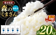 【定期6回】森のくまさん 無洗米 20kg （5kg×4袋）×6回 ｜ 米 無洗米 森のくまさん 熊本県 玉名市 くまもと たまな