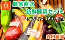 【ふるさと納税】農家直送新鮮野菜セット（ミニ）６〜８品