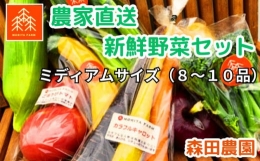【ふるさと納税】農家直送新鮮野菜セット（ミディアム）８〜１０品