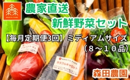 【ふるさと納税】【毎月定期便３回】農家直送新鮮野菜セット（ミディアム）８〜１０品