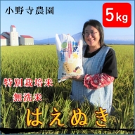 【精米】小野寺農園の【無洗米】はえぬき5kg