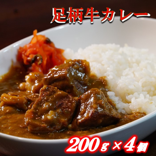 足柄牛を贅沢に使ったカレー200g×4個セット　 114537 - 神奈川県松田町