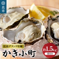 丸十水産 広島ブランド牡蠣 殻付き かき小町 約1.5kg  (8～10個)
