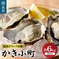 丸十水産 広島ブランド牡蠣 殻付き かき小町 約6kg (30～42個)