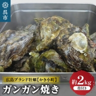 丸十水産 広島ブランド牡蠣 かき小町 ガンガン焼き 約2kg (10～14個)