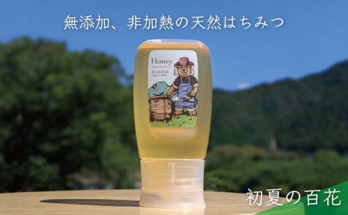 合計300g 天然蜂蜜 国産蜂蜜 非加熱 生はちみつ 岐阜県 美濃市産 初夏 (蜂蜜300g入りピタッとボトル1本)B9 1146182 - 岐阜県美濃市