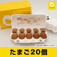 卵の黄身が掴めるほどの新鮮さ　美ら卵養鶏場の卵【20個入り】