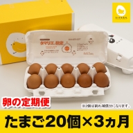 【定期便】3ヵ月連続お届け　美ら卵養鶏場の卵　各月20個
